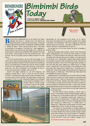 Bimbimbi Birds Today